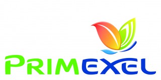 Logo Extrem V2